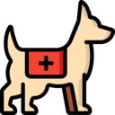 animals,mammal,pet,animal,canine,rescue dog